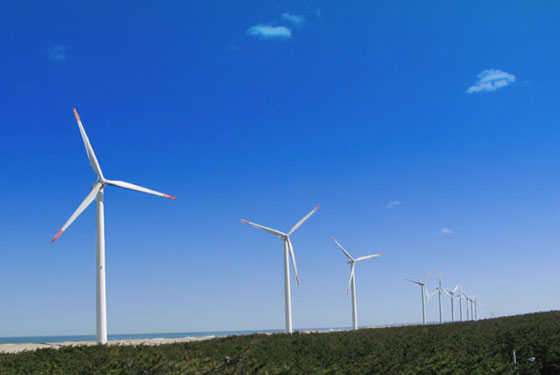 �������ꥢ�ι�������