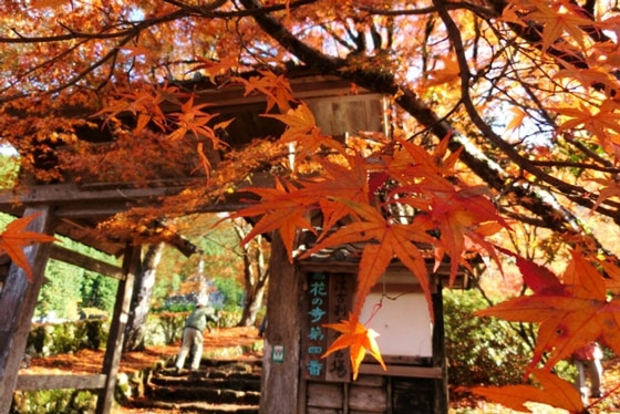 ð�ȡ��Ļ������ĥ��ꥢ�ι�������