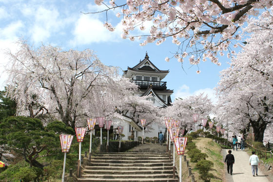 ���ꥨ�ꥢ�ι�������